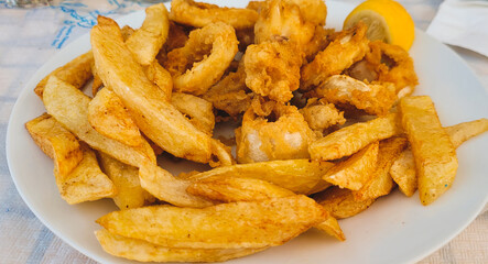 Calamari and fries
