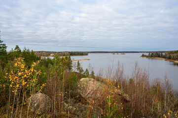 Autumn day. Straw grass. Trees and Bay. Protective Bay. Gulf of Finland. Vyborg.
