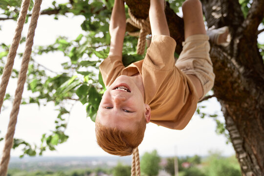 Caucasian Boy Hanging Upside Down On Tree Branch