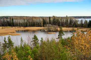 Autumn day. Straw grass. Trees and Bay. Gulf of Finland. Vyborg.