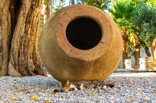 Bodrum cat lies under a huge ancient clay pot in the Saint Peter's castle