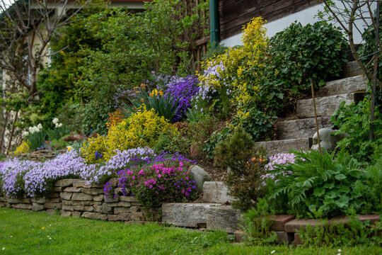 Planters slope with stone steps in a garden