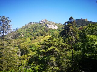 In the middle of the forest, the Pena Palace and the Moorish Castle in Sintra, Portugal