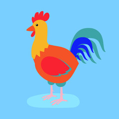 The rooster stands on its paws and looks ahead