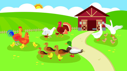Obraz na płótnie Canvas Ducks, chickens, turkeys and geese graze on the farm
