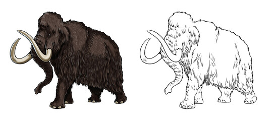 Prehistoric animals. Illustration with extinct Elephant - mammoth. Drawing for coloring book.