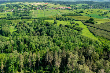 Fototapeta na wymiar Poland Lesser Voivodeship. Aerial view of village near Krakow, southern Poland. Europe. 