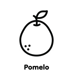 Pomelo fruit linear icon, Vector, Illustration.