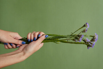 Close-up of female hands with blue manicure holding blue flowers with thick stem against green...