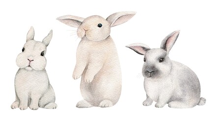 Little bunnies on an isolated white background, watercolor illustration, cute woodland animal, easter bunny, rabbits