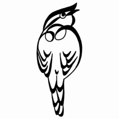 Silhouette of an exotic manakin bird.Black and white stylized drawing of a bird. Bird logo. Calligraphy image.