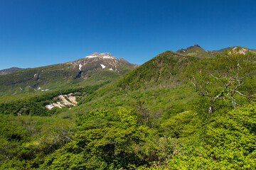 Obraz premium Mt. Nasu 
