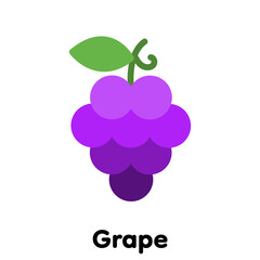 Grape icon, Vector, Illustration .
