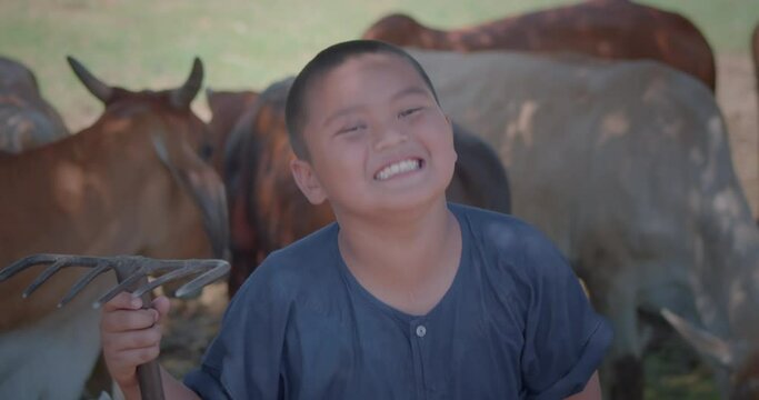 A slow motion happy smiling Asian farmer boy wearing traditional clothes who is the son of an Asian farmer family, standing and holding a rake helping his family feed the cows with fresh grass.