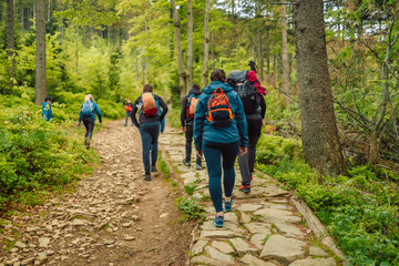 Young man and woman with backpack and sportswear hiking in mountains during summer season, traveler walking in the forest. Travel, adventure and journey concept. 