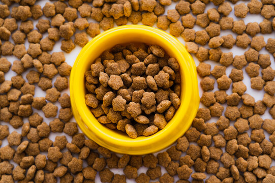 top view of dry pet food in plastic yellow bowl.
