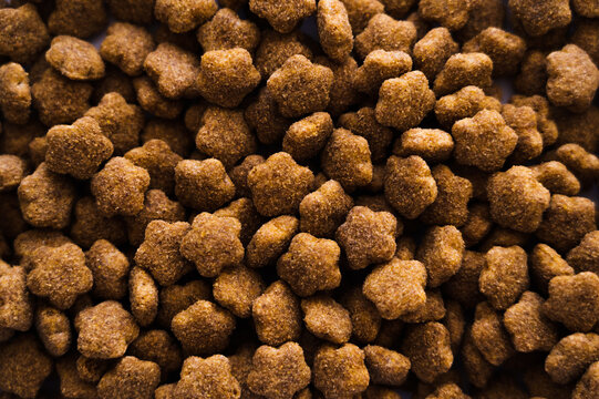 top view of nutritious and tasty pet food as background.