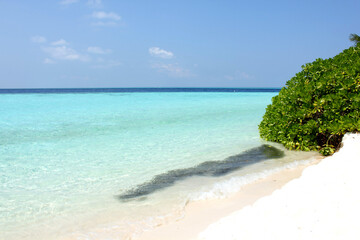 Maldives, tropical island in the Indian Ocean