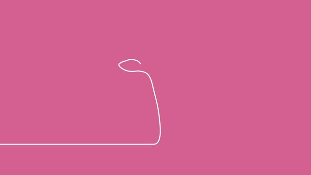 Flower silhouette. Continuous one line drawing Beautyful flower, Geranium palustre, on pink background. Self drawing animation. Hand drawn flowering plant. Simple design, art. Growth concept. 4K.