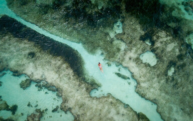 Woman swimming in turquoise ocean water between corals (aerial drone photo). Seychelles