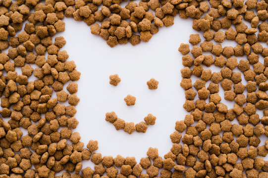 flat lay of dry pet food in shape of cartoon dog on white.