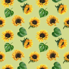 watercolor summer flowers – seamless pattern of sunflowers , botanical illustration