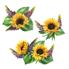 watercolor summer flowers – sunflowers bouquets, botanical illustration