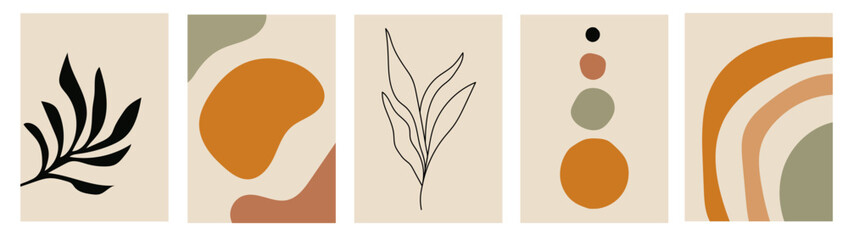 Collection of modern simple minimalistic abstractions with geometric shapes and plant leaves on a colored background