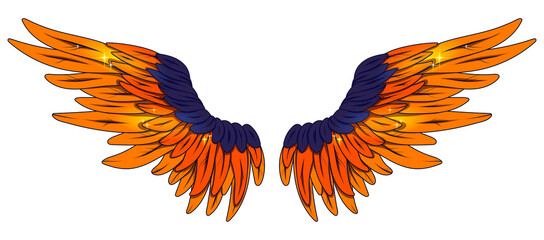 Beautiful bright magic orange blue wings, vector