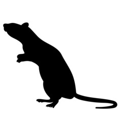 roof, mouse silhouette on white background, isolated, vector