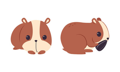 Obraz na płótnie Canvas Cute Hamster Character with Stout Body Sitting and Eating Sunflower Seed Vector Set