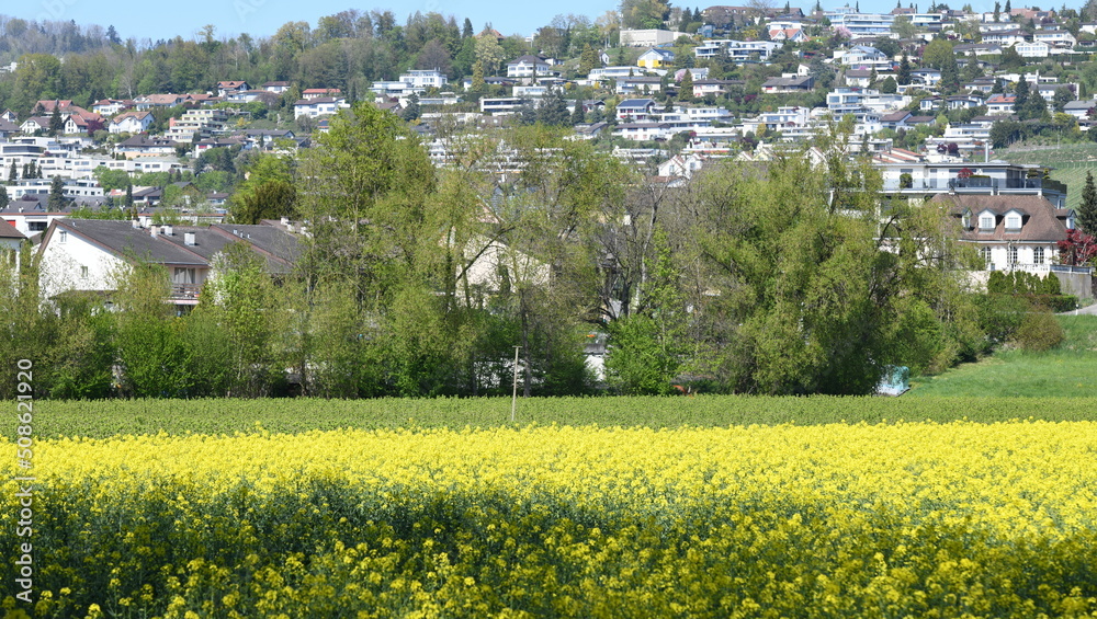 Wall mural printemps