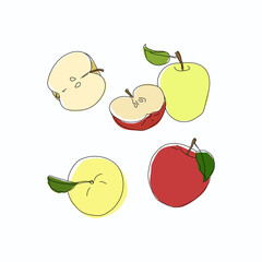 Apple vector set of hand draw illustration fruit one line drawing  leaves food fruits	
