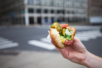 Close-up of hand holding hot dog. Street food in Chicago..