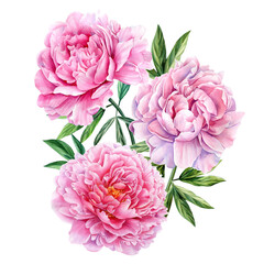 Bouquet of pink peonies on white isolated background, watercolor wedding invitation card © Hanna