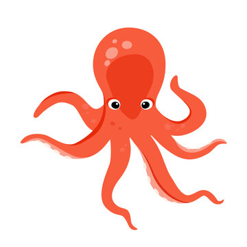Vector illustration orange octopus. Sea creature. Cartoon octopus