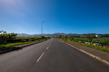 Road landscape on a sunny morning, with cultivated fields and flowers on the roadside, and the mountain of the Fire Lake - 