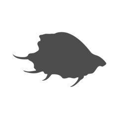 Black silhouette sea shell