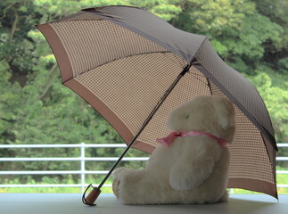 雨傘とクマのぬいぐるみ