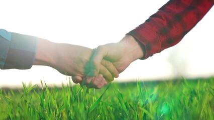handshake agriculture. hands of group farmer business make a contract in the field. farmer handshake hands shaking hands on green field background. business agriculture market crop concept.