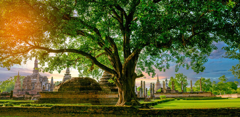 Beautiful sunset and big ficus tree as foreground with ancient Thai temple in Sukhothai historical park, Thailand, a UNESCO site or world heritage site.