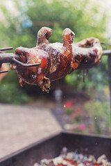Grilled suckling little pig on barbecue