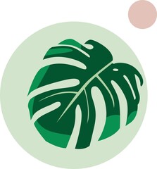green monstera leaf with a simple background. eps file