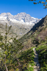 Obraz premium Paysage depuis le chemin de randonnée vers le Refuge de Chabournéou dans la Vallée du Valgaudemar