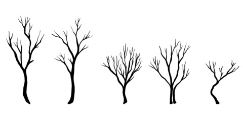 set of hand drawn vector doodle Naked trees silhouettes sketch illustrations. vector illustration.