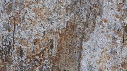 blend of wood and rock