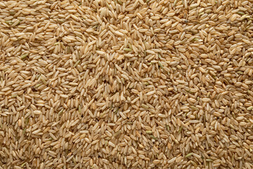 Raw wholewheat rice