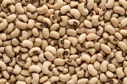 Bunch of raw healthy beans
