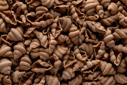 Spelt snail pasta