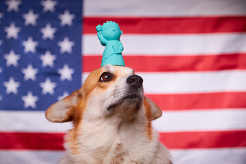 Proud Welsh Corgi Pembroke dog and freedom statue in front of the American flag. Flag Day in the...